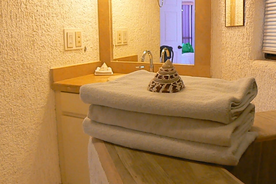 Bath room includes everything you need! Shampoos, soap, hair dryer, iron, etc. 