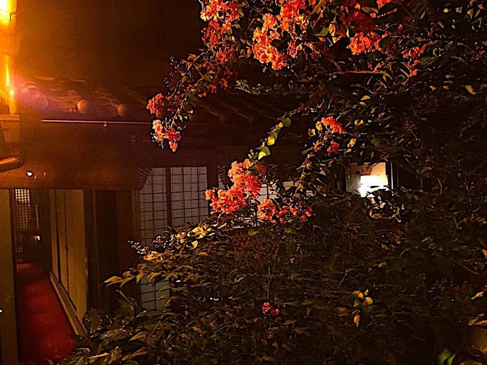 Japanese garden