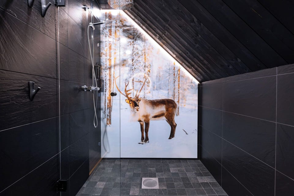Aurora Cabin Family | Bathroom | Shower, hair dryer, bidet, towels