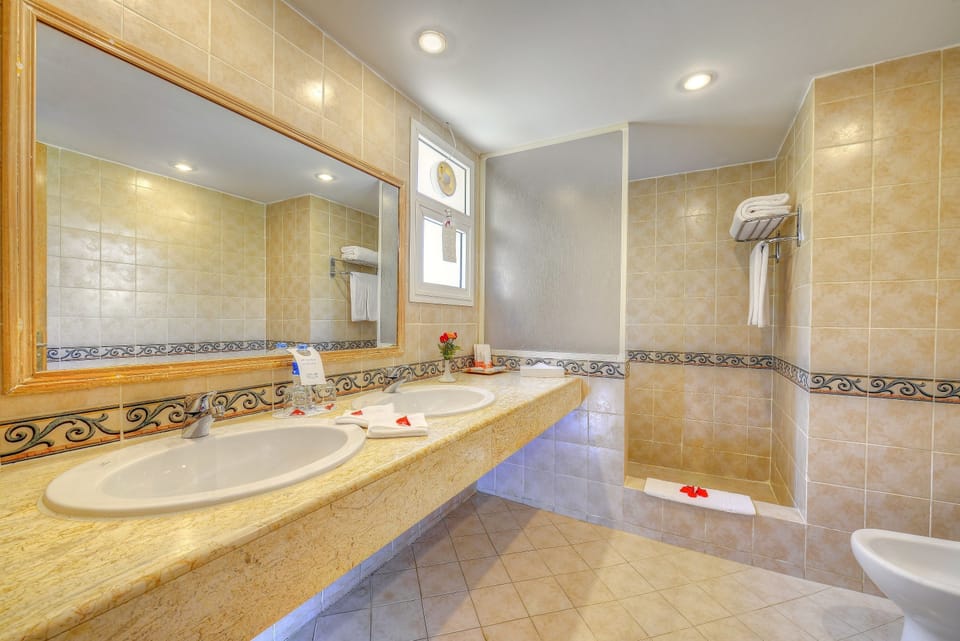 Shower, free toiletries, hair dryer, bidet