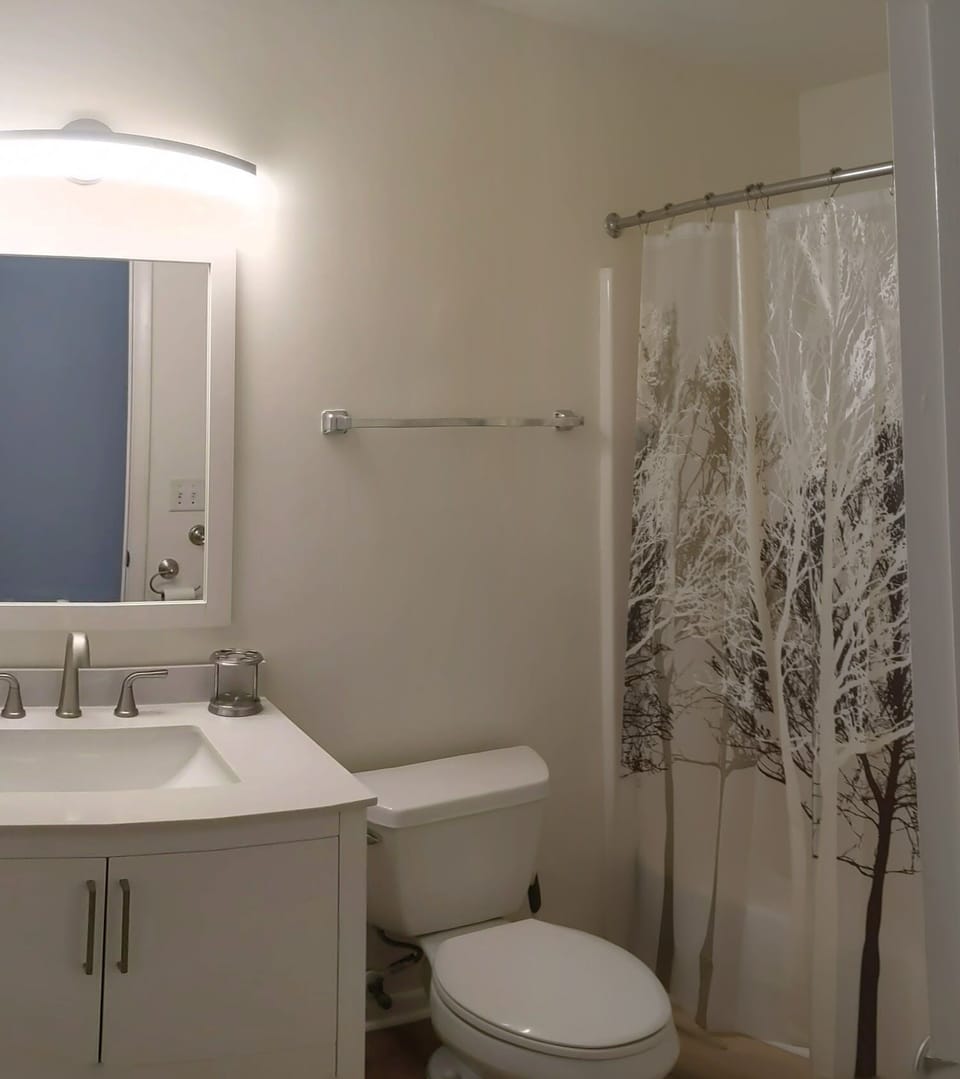 Hallway bathroom