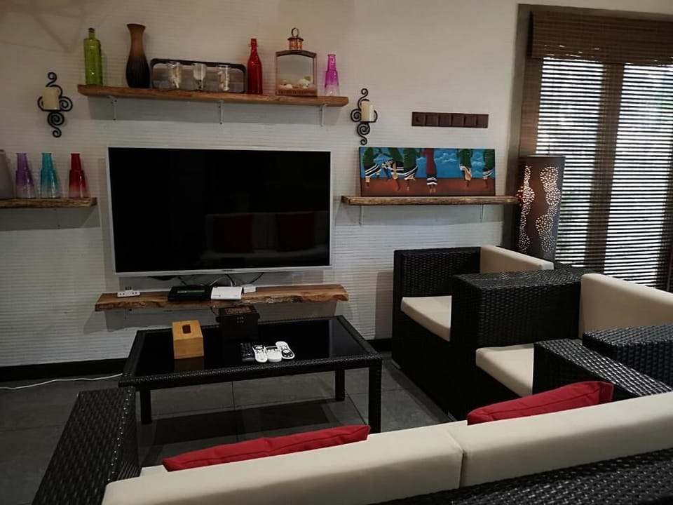 TV