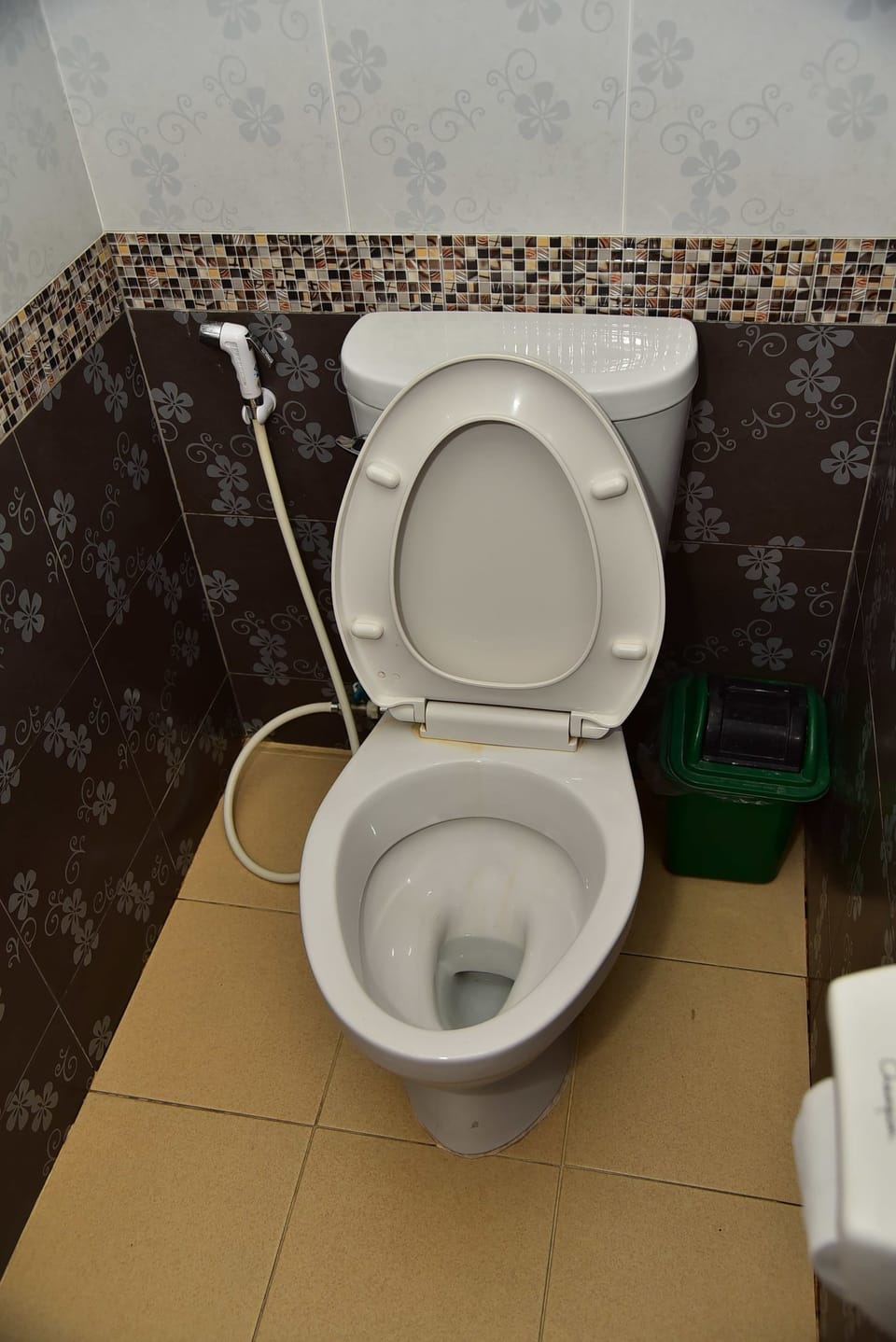 Shower, free toiletries, towels