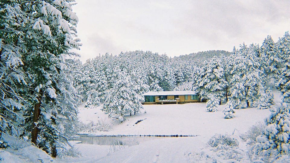 Early winter before the pond freezes