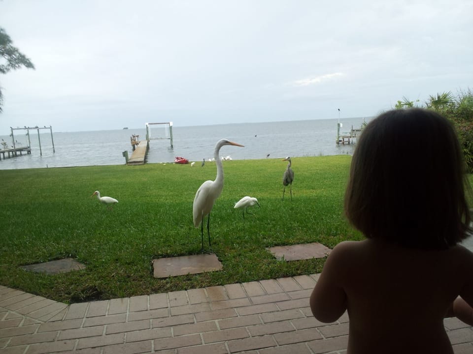 friends in the backyard