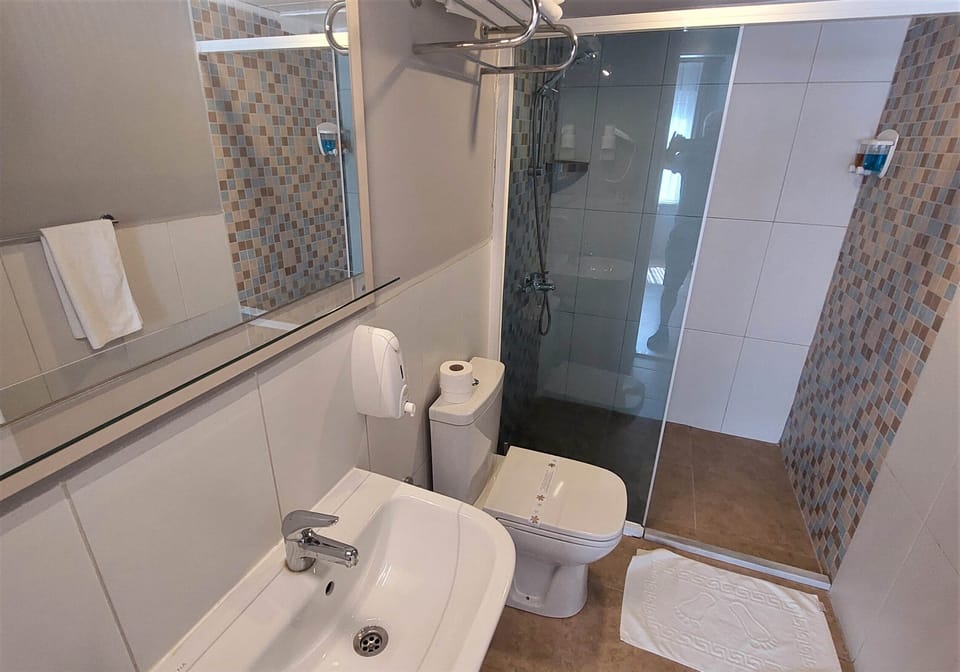 Superior Double Room | Bathroom | Shower, free toiletries, hair dryer, slippers