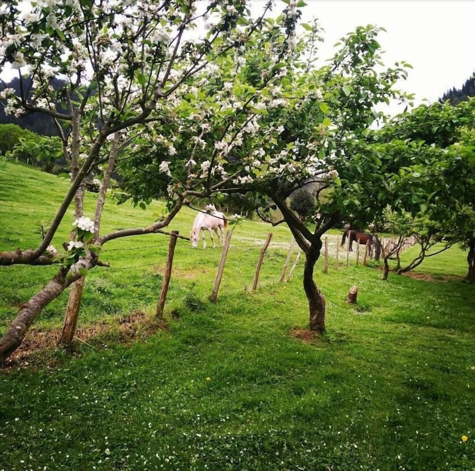 Lezamakoetxe Country House in Basque Country