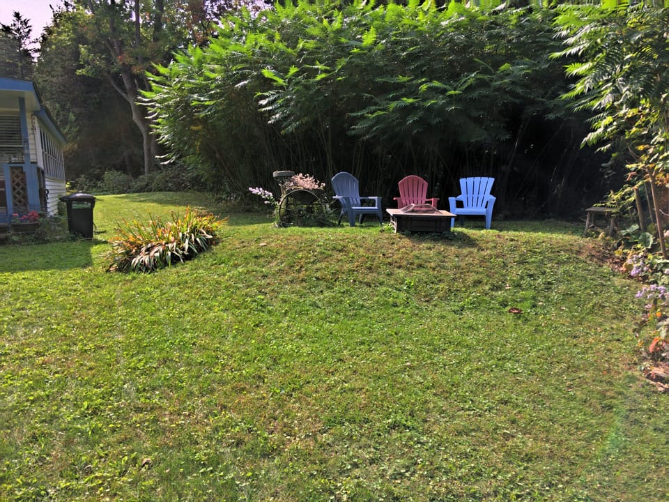 Side yard