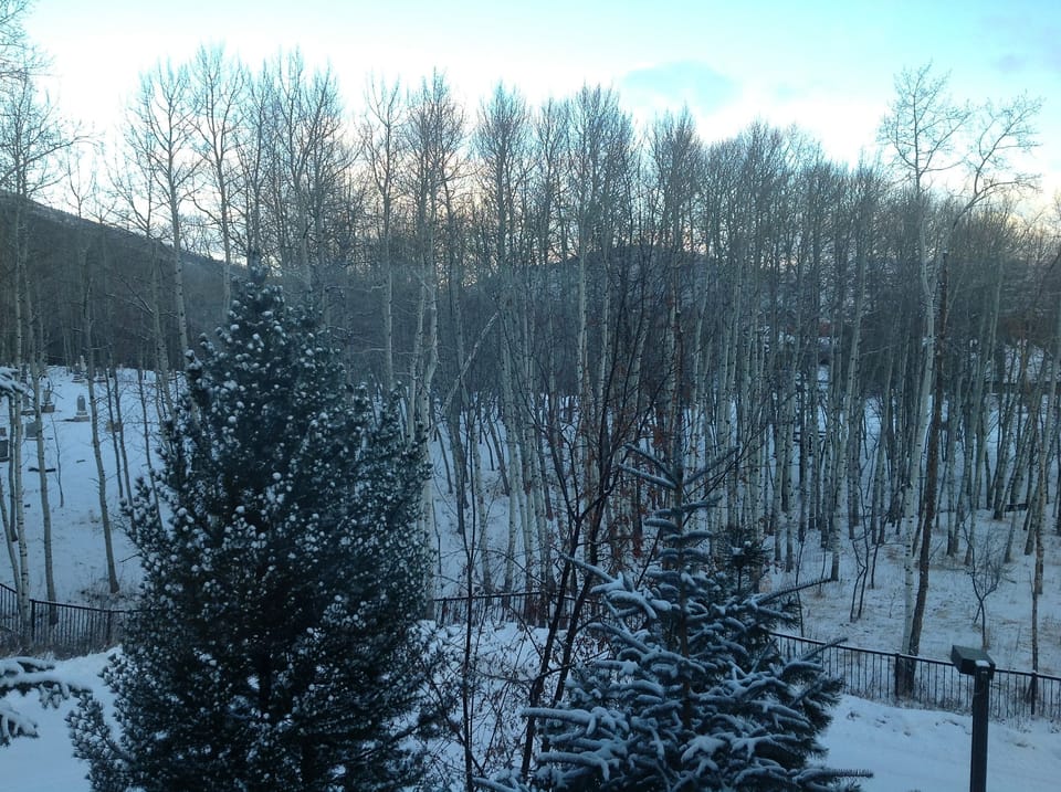 Corner Unit offers great views of Mountain, Trees, and the ski runs !