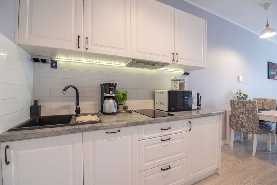Classic Apartment (F2: 28a) | Private kitchen | Fridge, microwave, stovetop, dishwasher