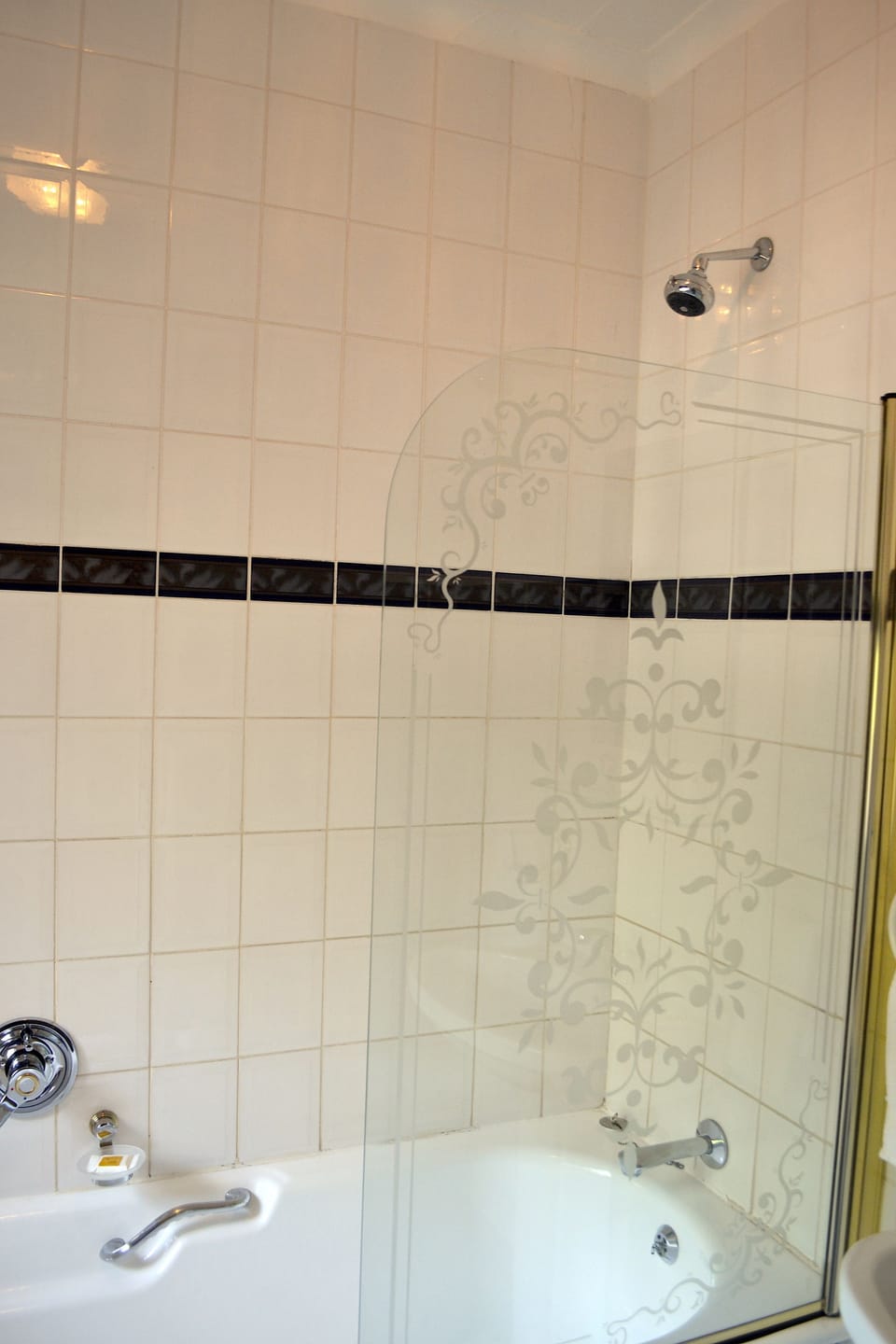 Combined shower/tub, free toiletries, hair dryer, bidet