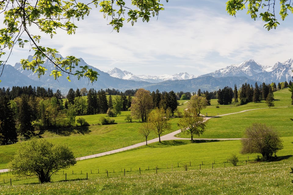 Land view from property