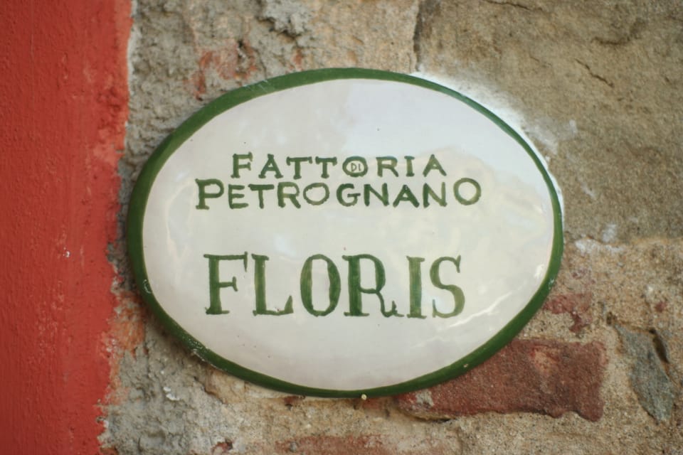 Apartment | Terrace/patio