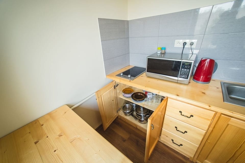 Apartment (Nowy Wierch) | 1 bedroom, desk, blackout drapes, iron/ironing board