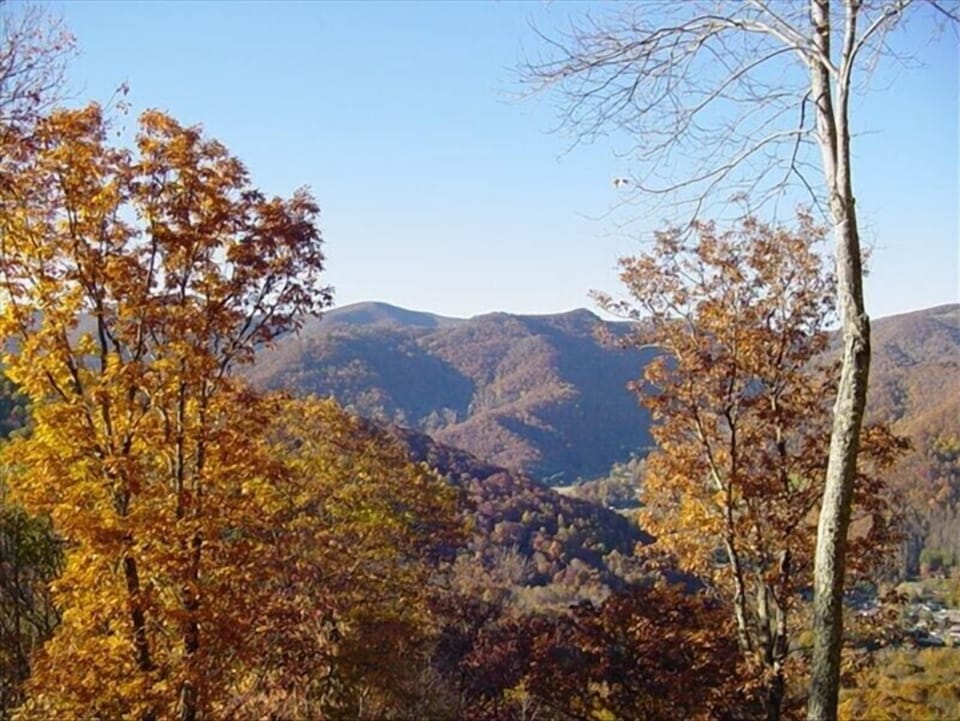 Taken in the fall as the leaves are changing.  