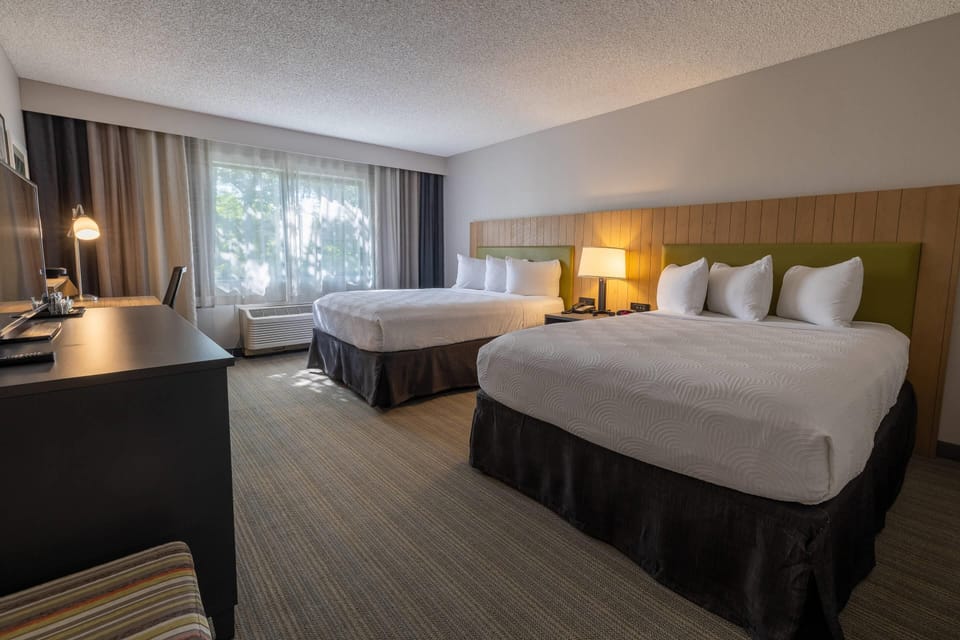 In-room safe, desk, laptop workspace, blackout drapes