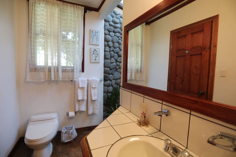 Queen Room | Bathroom | Shower, free toiletries, hair dryer, towels