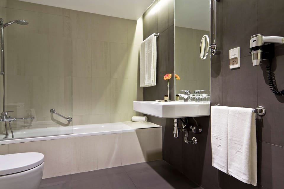 Bathtub, free toiletries, hair dryer, bidet