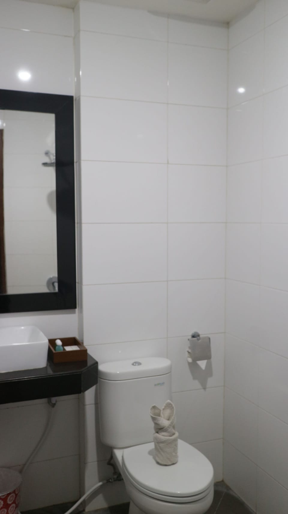 Shower, free toiletries, slippers, towels