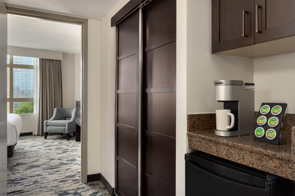 Parkview Suite-King-Non Smoking | Minibar