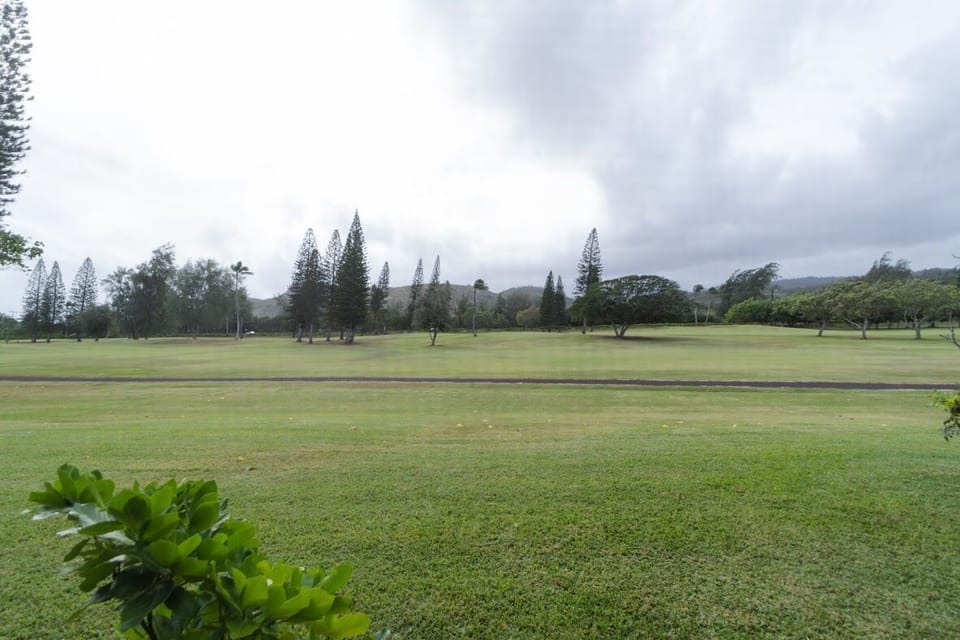 lanai view