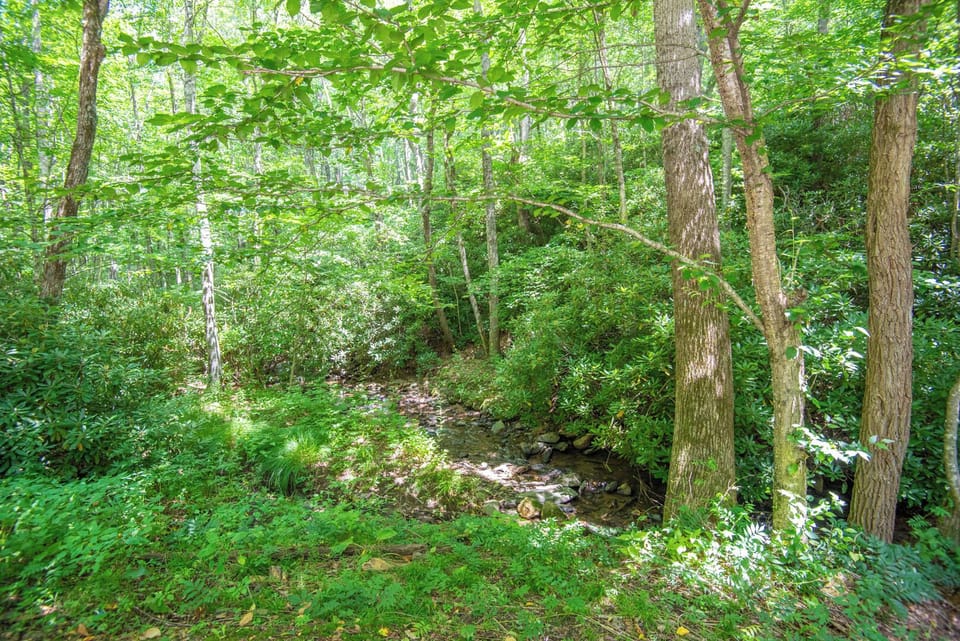 You will miss your creek when you depart...