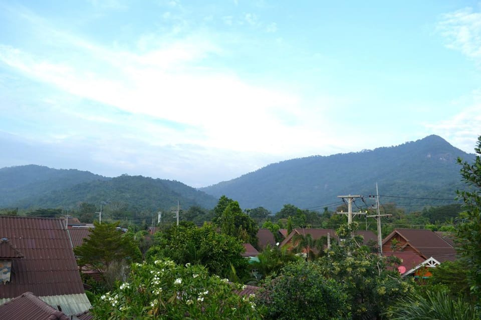 Deluxe Room | View from room
