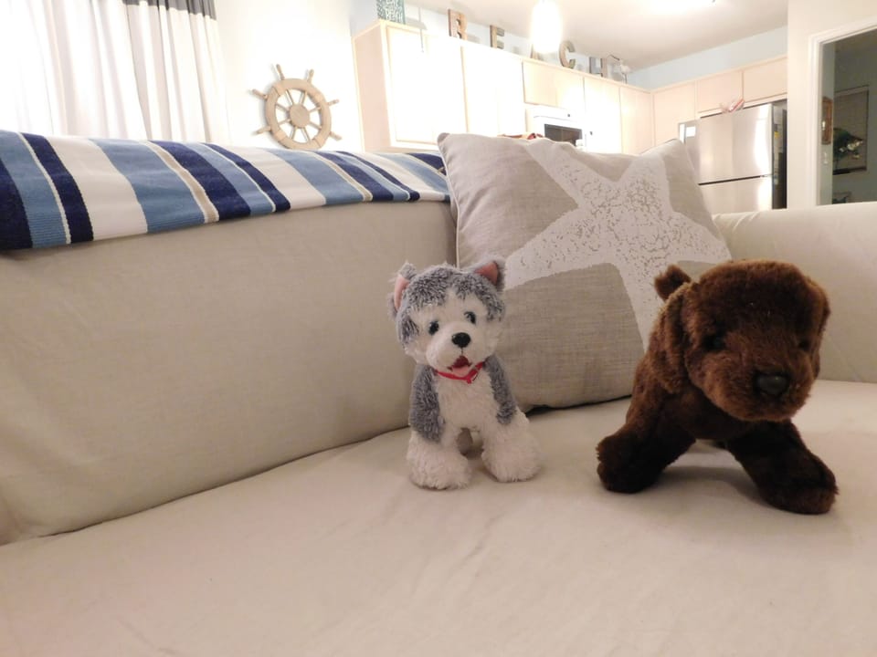 Your furry family members are welcome here upon approval with a small pet fee.
