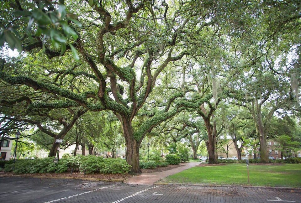 Chatham Square is beautiful all year round!