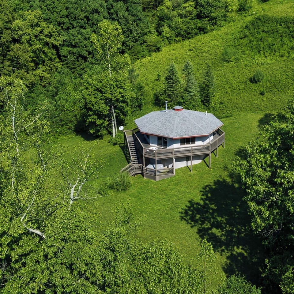 Tree Top Summer Aerial