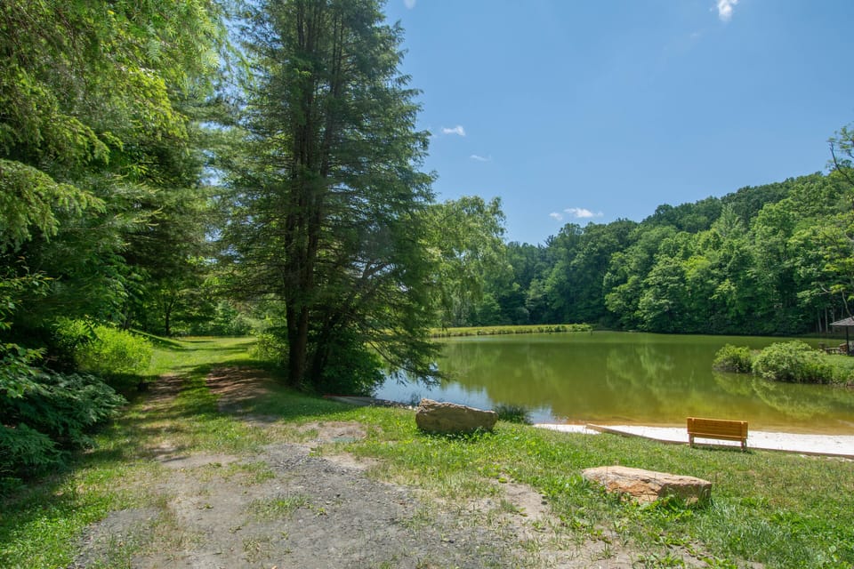 Trails around the lake...