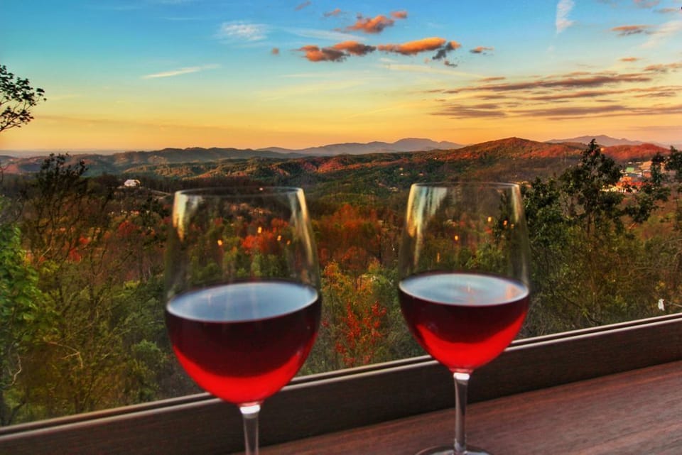A glass of wine will never taste this good again!