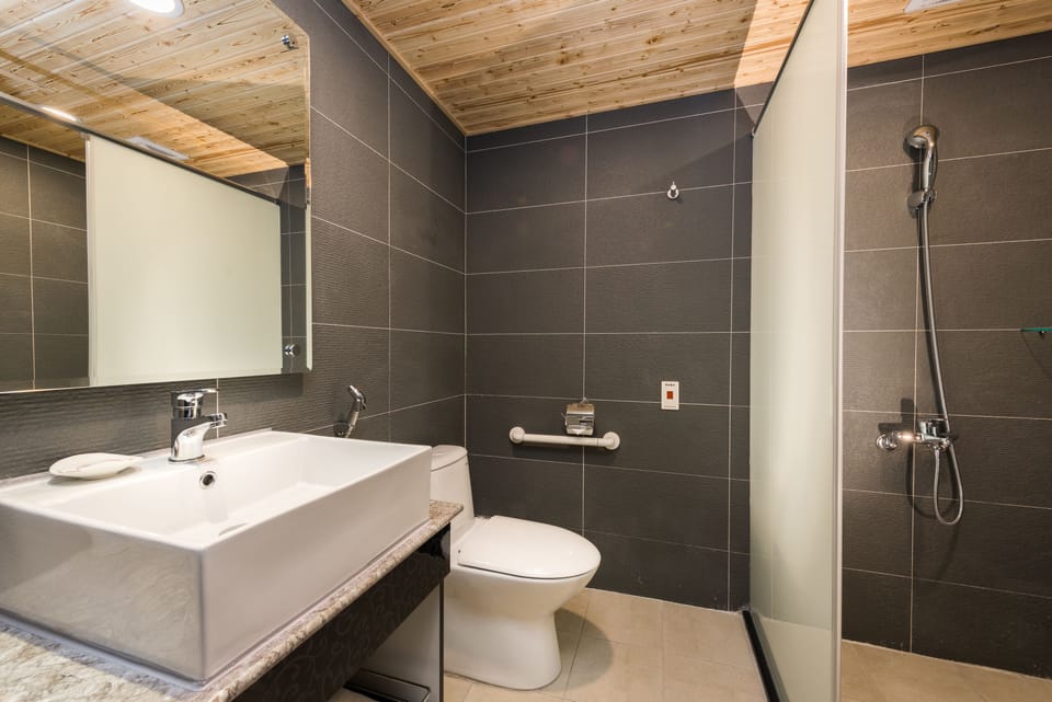 Shower, hair dryer, towels, shampoo