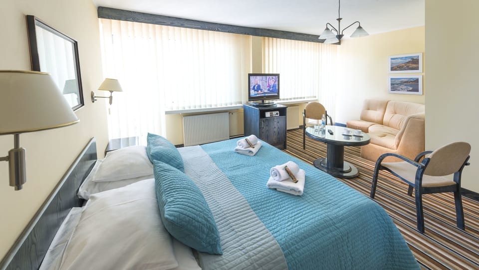 Deluxe Double Room | Desk, blackout drapes, iron/ironing board, free WiFi