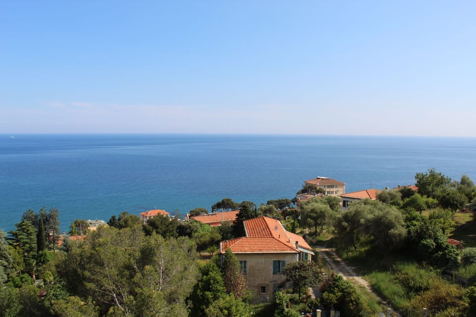 Beach/ocean view