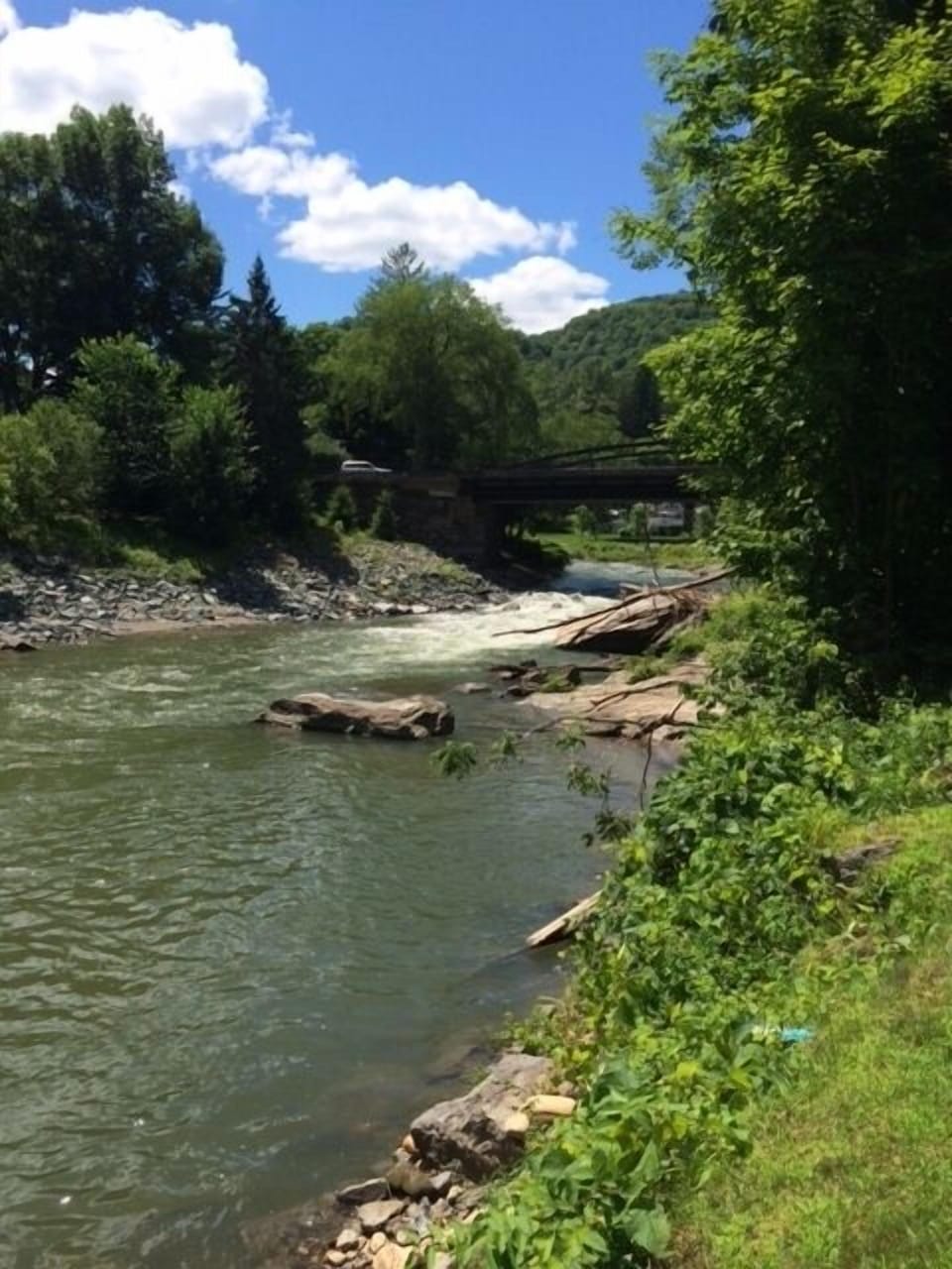 View of Elm Street bridge from the property