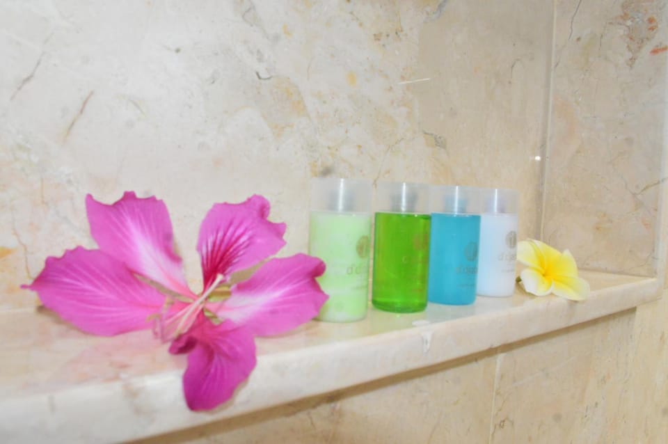 Shower, free toiletries, bathrobes, slippers