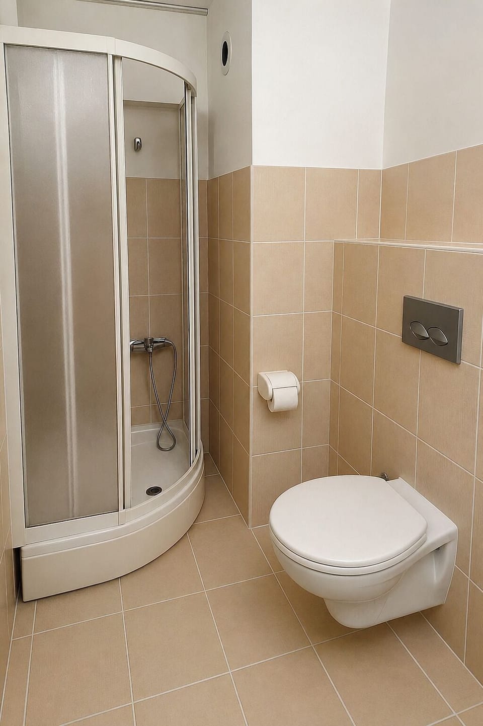 Shower, free toiletries, hair dryer (on request), slippers