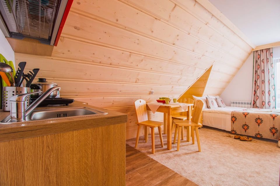Apartment (Studio, for 2 people) | Private kitchen
