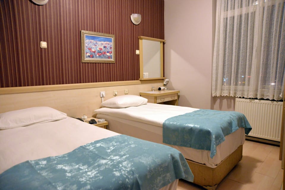 Standard Double or Twin Room | Desk, soundproofing, iron/ironing board, free WiFi