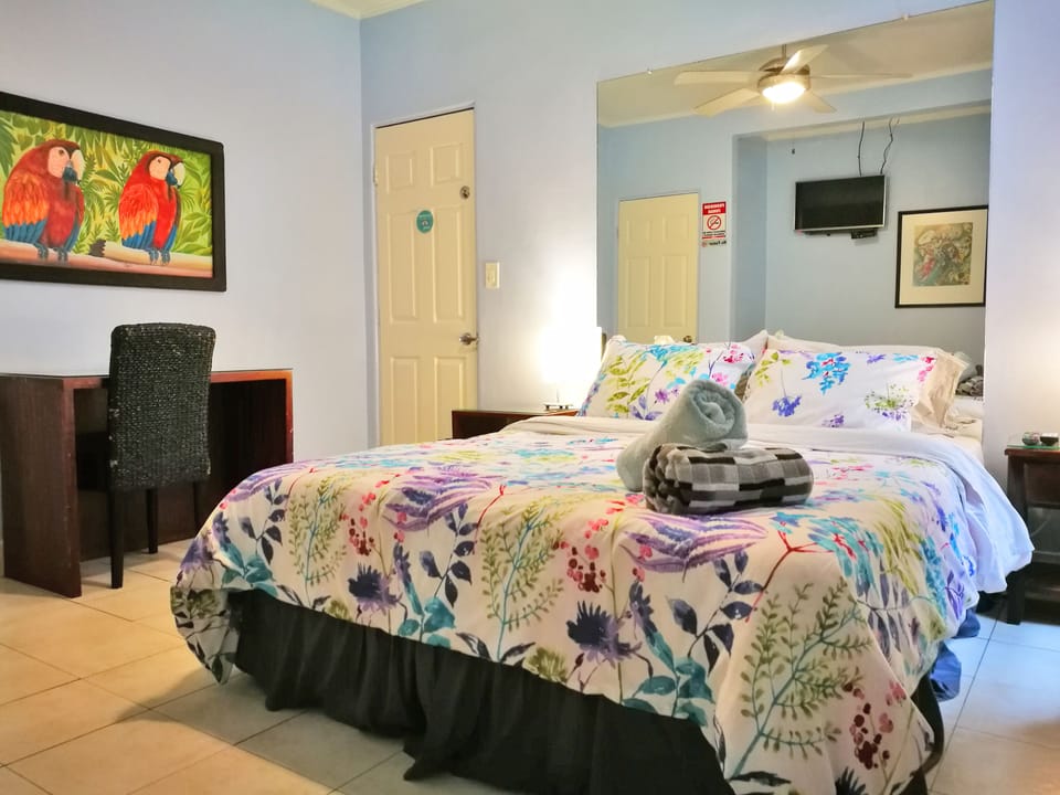 Classic Suite, 1 Queen Bed | View from room