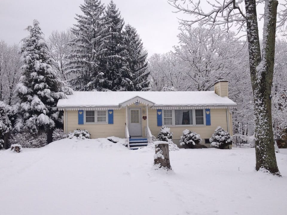 FRESHLY FALLEN SNOW ...