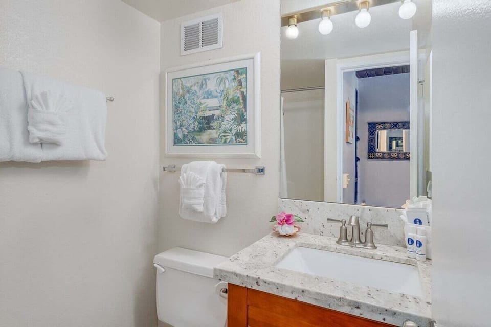 Enjoy a well-lit vanity area with modern fixtures and decorative accents that add charm to your stay