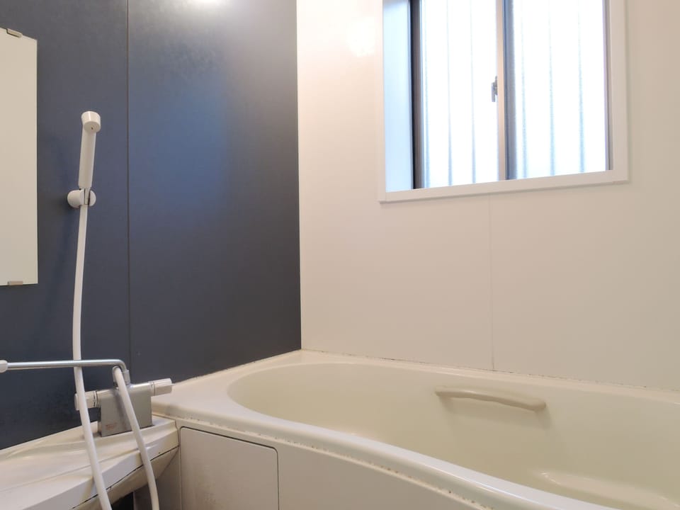 Hair dryer (on request), slippers, towels