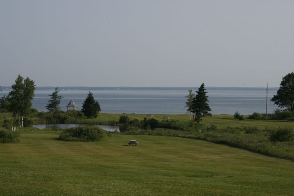 Room, Kitchenette, Ocean View | View from room