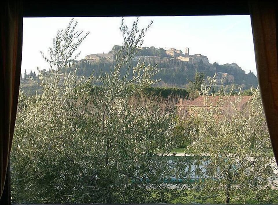 View from room