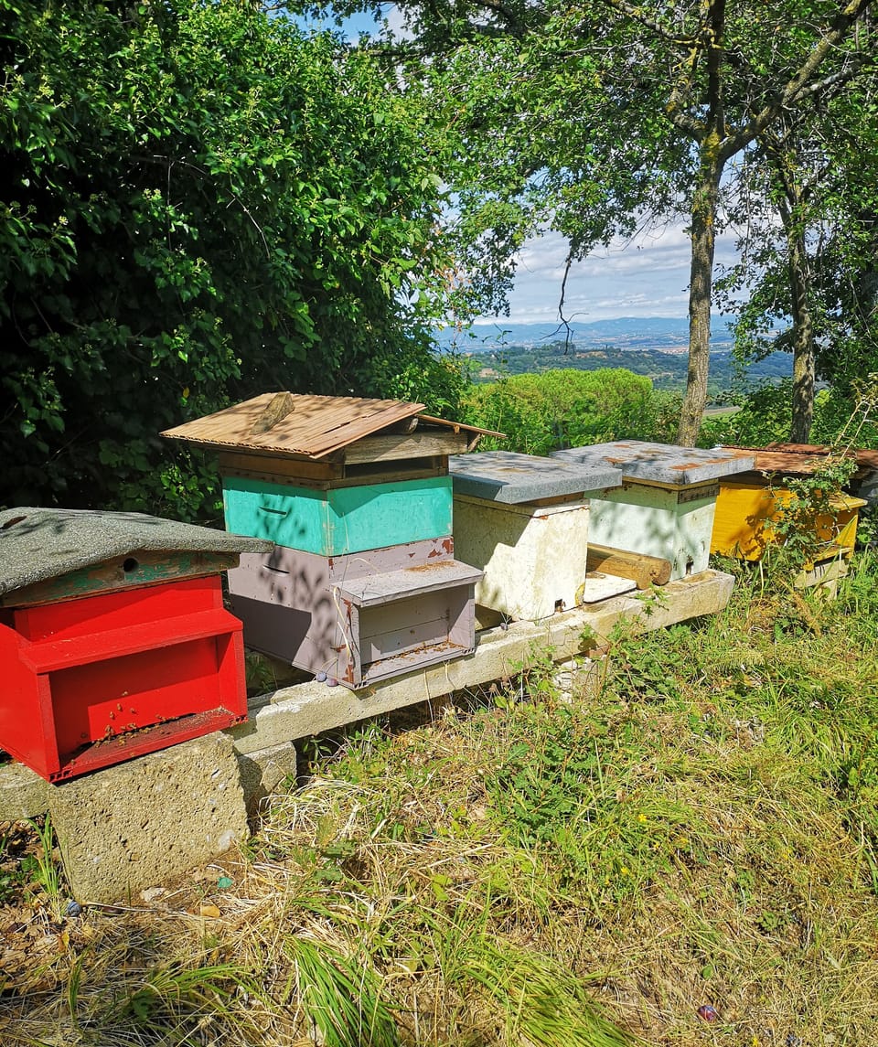 Ecotours
