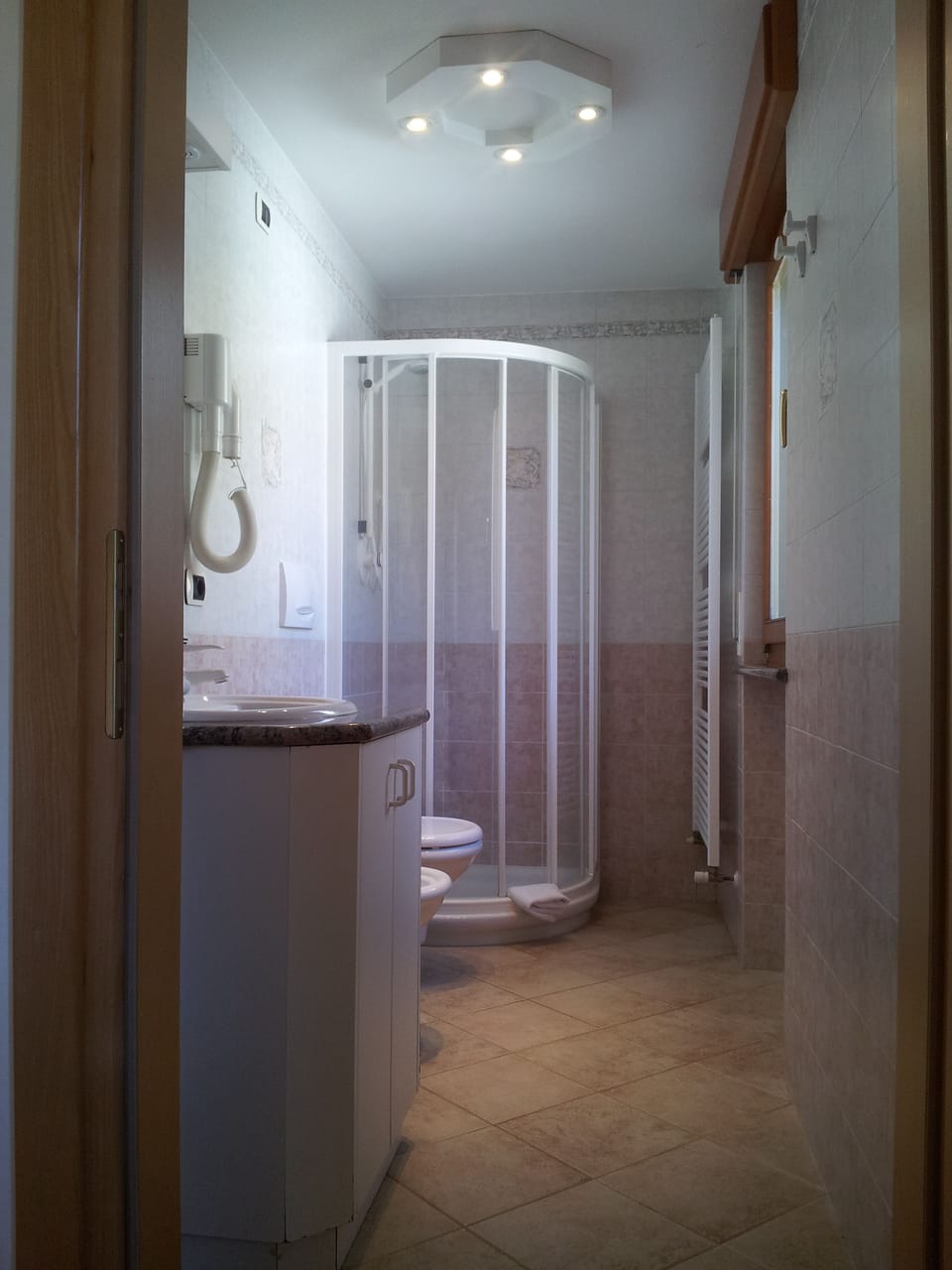 Shower, hair dryer, bidet, towels