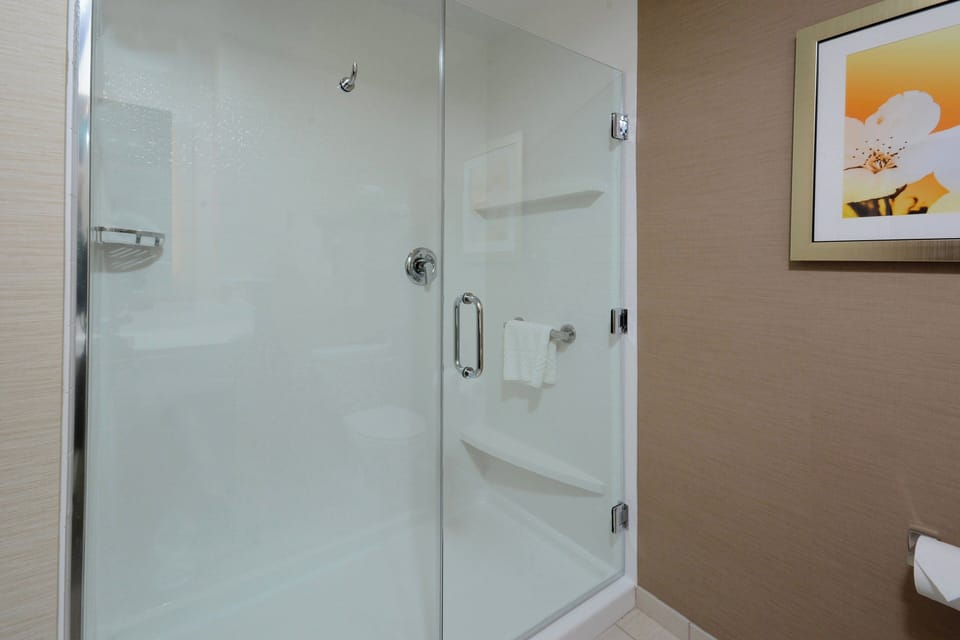 Combined shower/tub, eco-friendly toiletries, hair dryer, towels