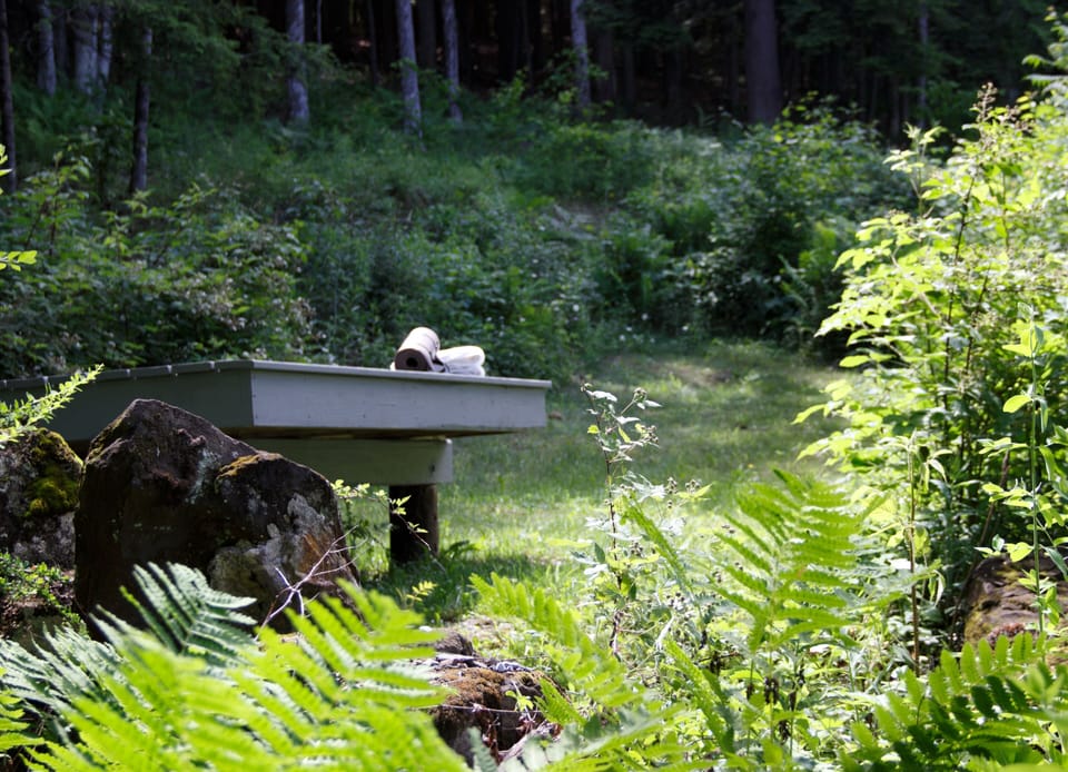 your private yoga platform with the forest all around